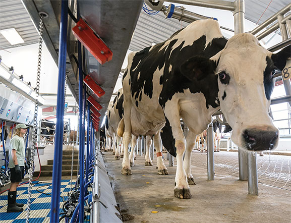 Dairy Science Complex at Kentland Farm