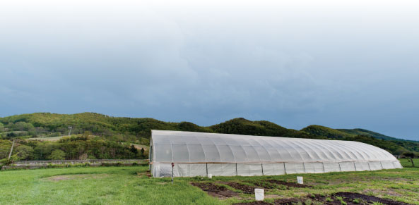 The greenhouse at the Virginia Tech Catawba Sustainability Center