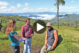 Project to curb deforestation in Ecuador