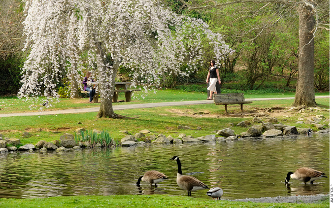 The Duck Pond on the Virginia Tech campus