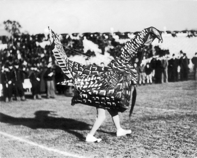 Virginia Tech's mascot, the Gobbler